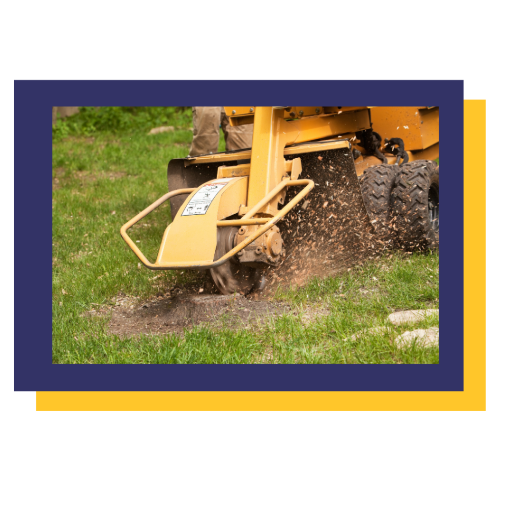 Stump grinder grinding a tree stump