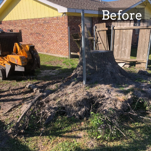 Stump Grinding Picture in Lake Charles, LA Before Stump Removal