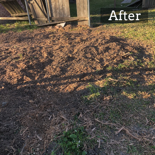 Stump Grinding Picture in Lake Charles, LA After Stump Removal