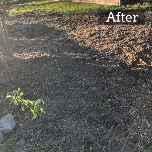 Stump Grinding Picture in Lake Charles, LA After Stump Removal